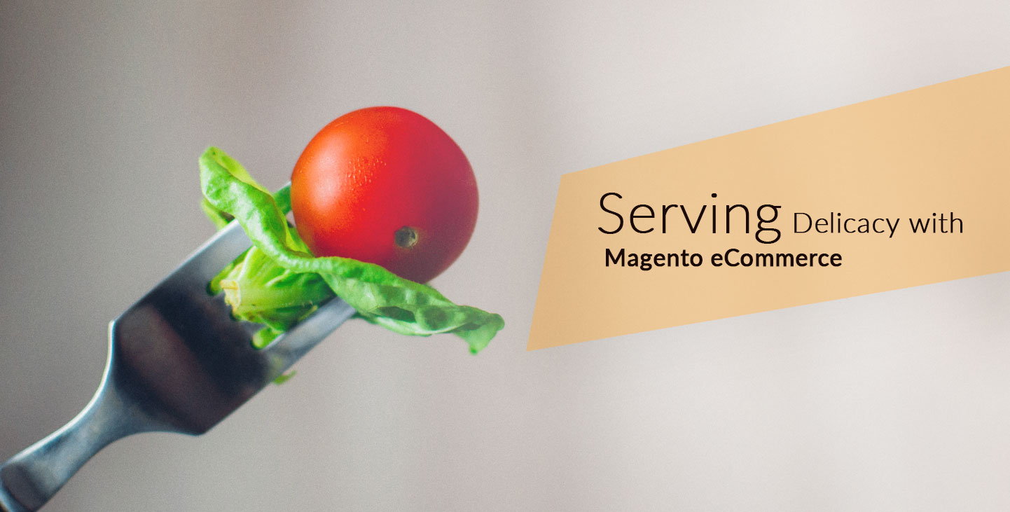 magento ecommerce development