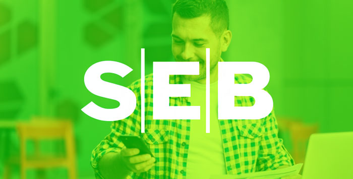 why seb invest in chatbot development?